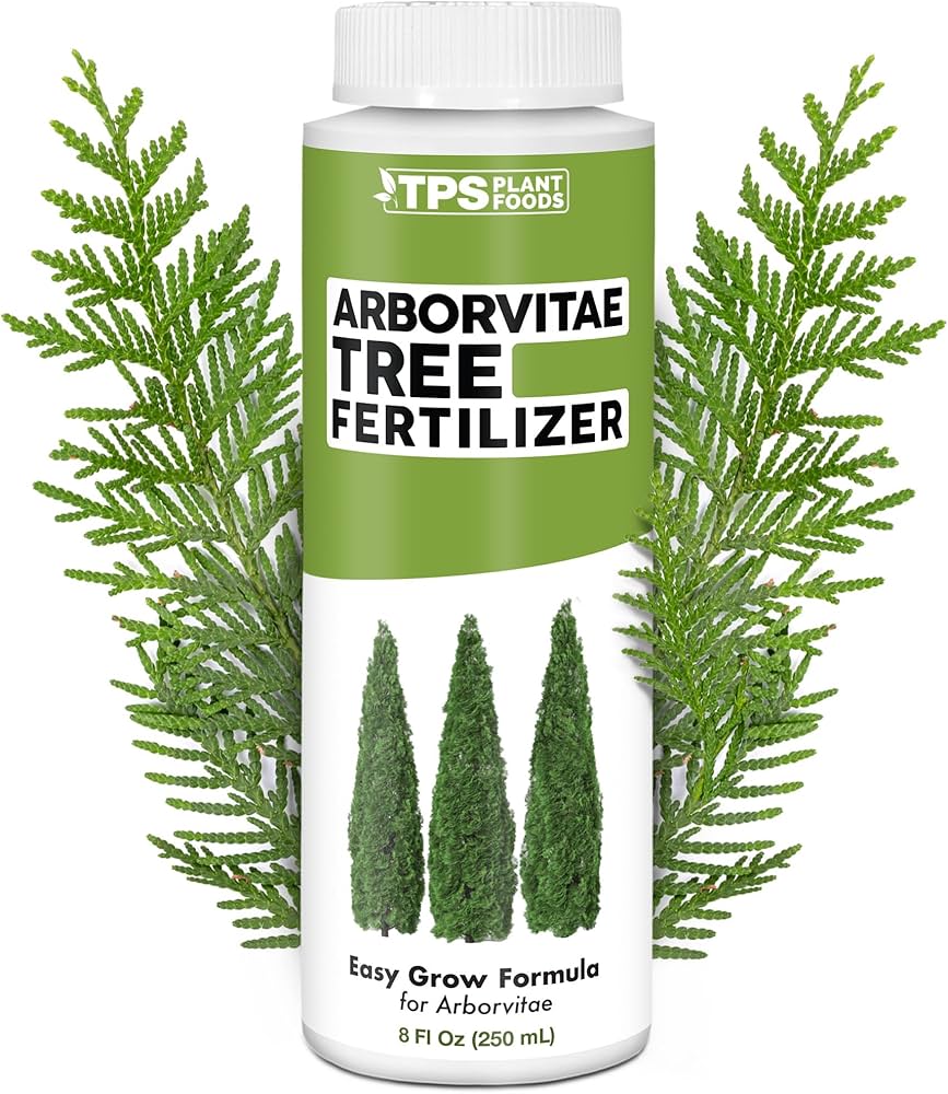 Cómo proteger un arbusto arborvitae durante el invierno