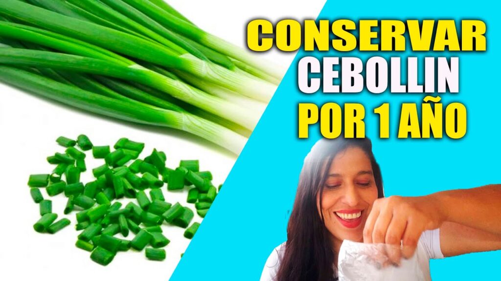 Cómo puedo conservar cebollinos para plantar en el futuro