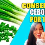 Cómo puedo conservar cebollinos para plantar en el futuro