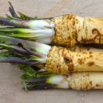 Cómo puedo cultivar rábano picante en macetas