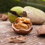 Cómo recolectar nueces de hickory de forma efectiva