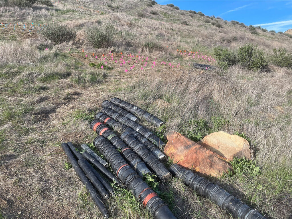 Cómo recrear un hábitat nativo de chaparral en tu jardín
