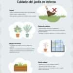 Cómo regar en invierno un jardín correctamente