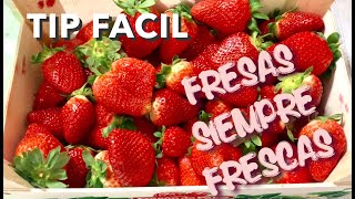 Cómo resguardar las fresas del frío para evitar que se dañen