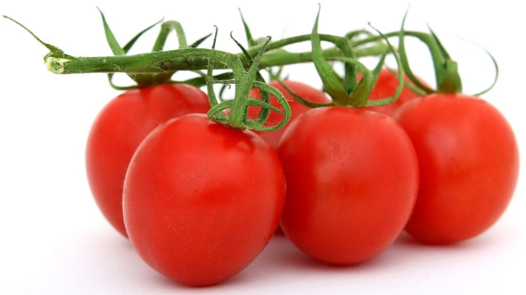 Cómo retrasar la maduración de tomates para mejorar su calidad