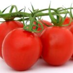Cómo retrasar la maduración de tomates para mejorar su calidad