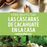 Cómo reutilizar cáscaras de cacahuetes en tu jardín