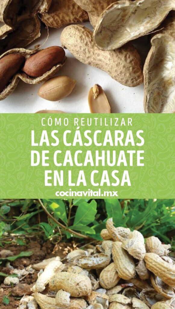 Cómo reutilizar cáscaras de cacahuetes en tu jardín