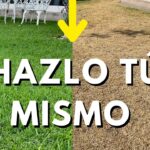 Cómo revivir y eliminar manchas del césped tras el invierno