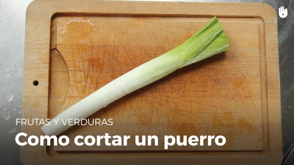 Cómo se propagan los puerros de forma adecuada