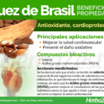 Cómo se puede cultivar nueces de Brasil de forma exitosa