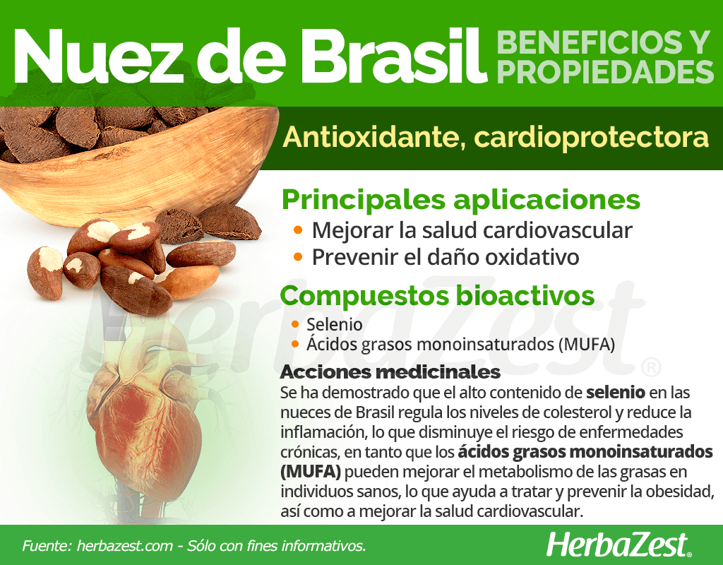 Cómo se puede cultivar nueces de Brasil de forma exitosa