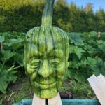 Cómo se pueden cultivar calabazas dentro de moldes