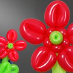Cómo se pueden propagar las flores de globo de manera efectiva