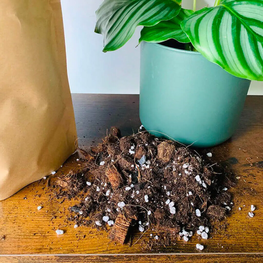 Cómo seleccionar el sustrato adecuado para tus árboles en macetas