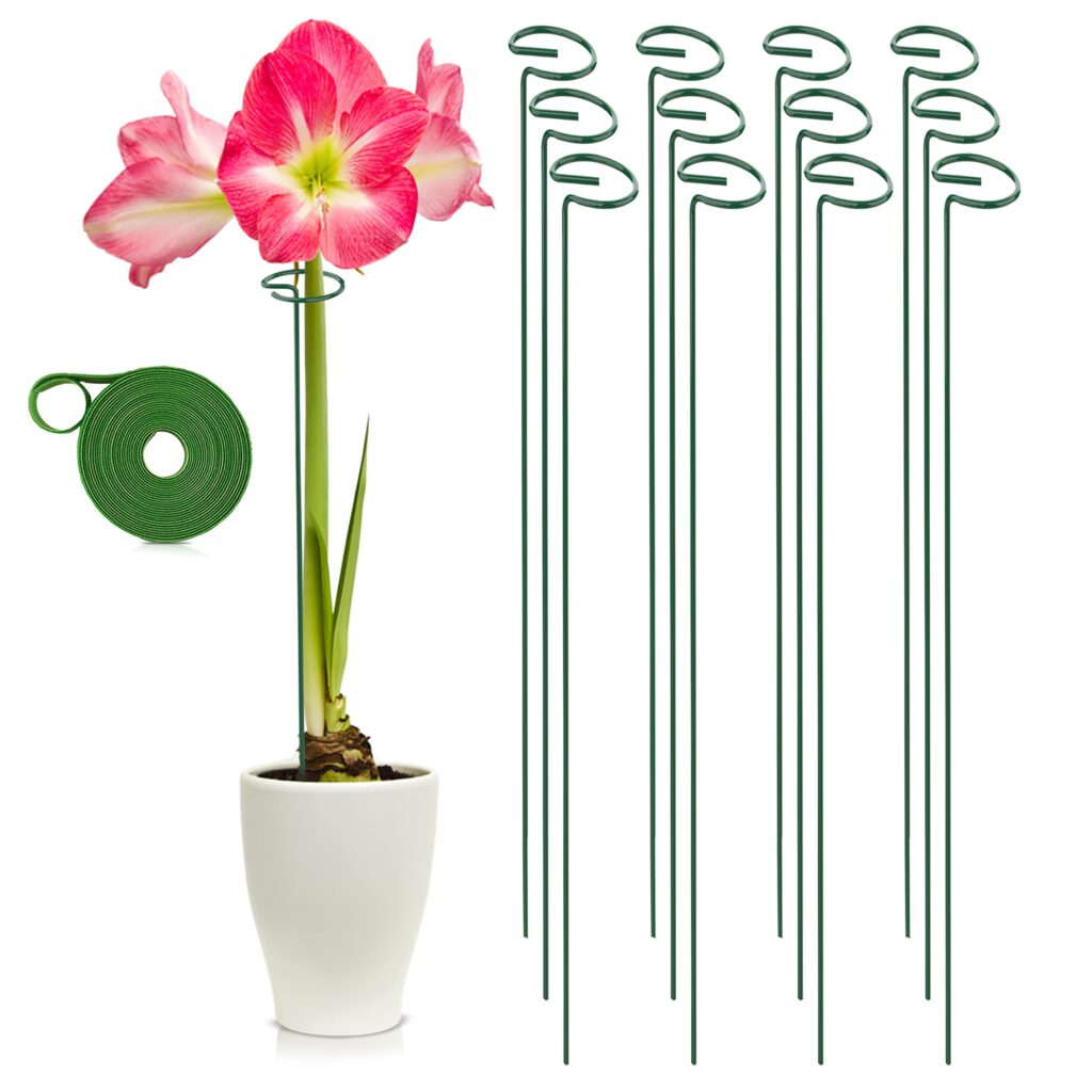 Cómo sostener y apoyar estacas para gladiolos