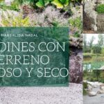 Cómo trabajar en un suelo pedregoso para un jardín próspero