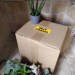 Cómo transportar plantas en viajes dentro del país