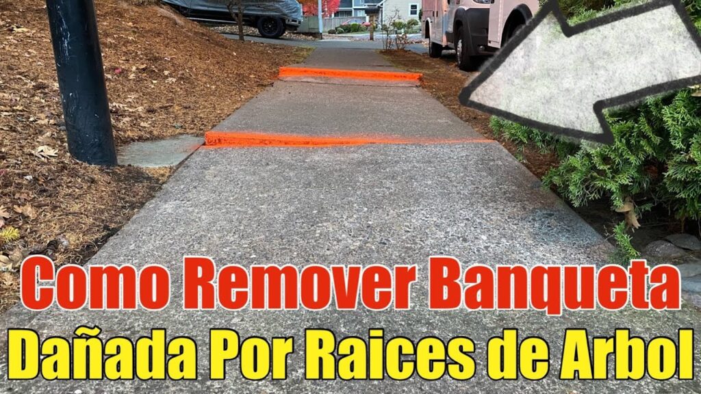 Cómo tratar concreto alrededor de árboles y raíces cubiertas