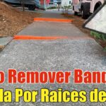 Cómo tratar concreto alrededor de árboles y raíces cubiertas
