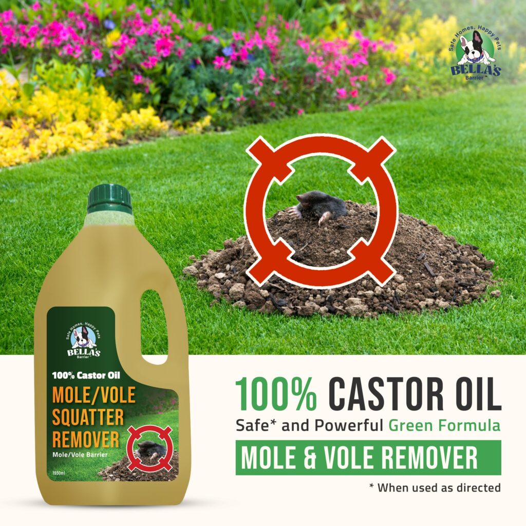 Cómo tratar plagas en el jardín con aceite de ricino