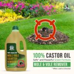 Cómo tratar plagas en el jardín con aceite de ricino