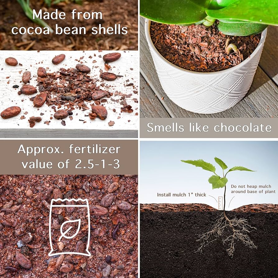 Cómo usar cáscaras de cacao como mantillo en el jardín