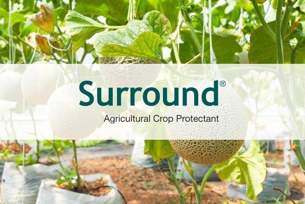 Cómo usar Kaolin Clay en el jardín