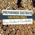 Cómo usar la piedra pómez en el suelo para las plantas
