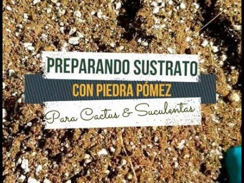 Cómo usar la piedra pómez en el suelo para las plantas