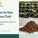 Cómo utilizar coco coir como mantillo en tu jardín