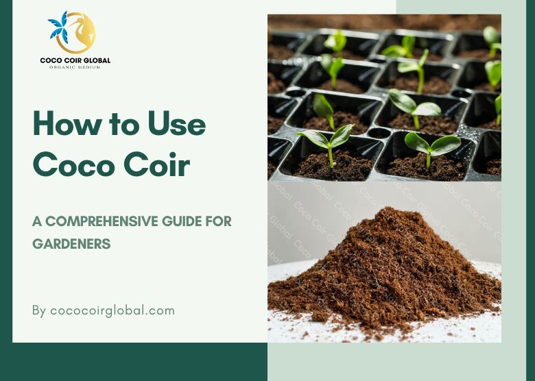 Cómo utilizar coco coir como mantillo en tu jardín