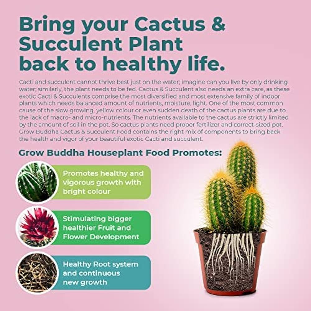Cómo y cuándo es recomendable repotar un cactus