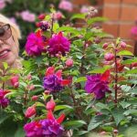 Cómo y cuándo podar las fucsias correctamente