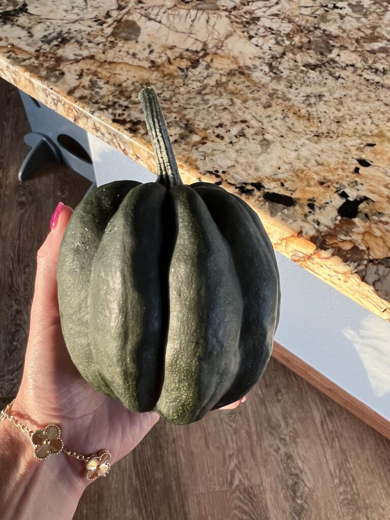 Cómo y cuándo recolectar calabazas de bellota maduras