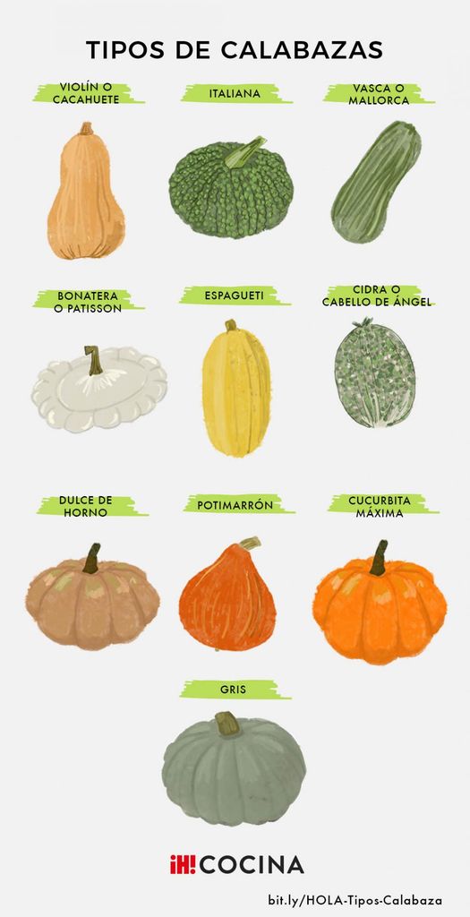 Conoces las 10 calabazas más peculiares para probar