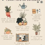 Consejos para cuidar plantas de sedge en interiores