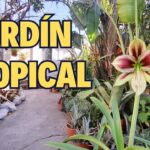 Consejos para cultivar jardines tropicales en la Zona 9