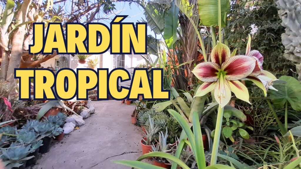 Consejos para cultivar jardines tropicales en la Zona 9