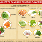 Consejos para cultivar un jardín de vegetales en otoño