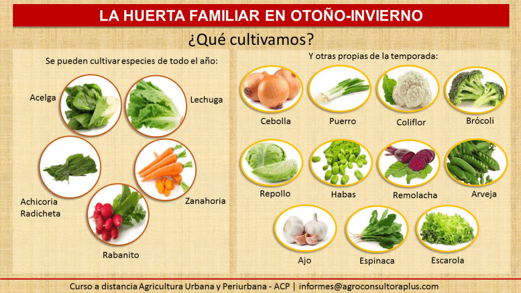 Consejos para cultivar un jardín de vegetales en otoño