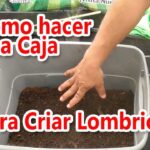Construcción de una casa de lombrices Cómo hacerlo con niños