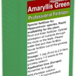 Cuál es el fertilizante ideal para las plantas de amaryllis