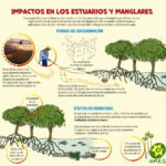 Cuál es el impacto de los insecticidas en las plantas