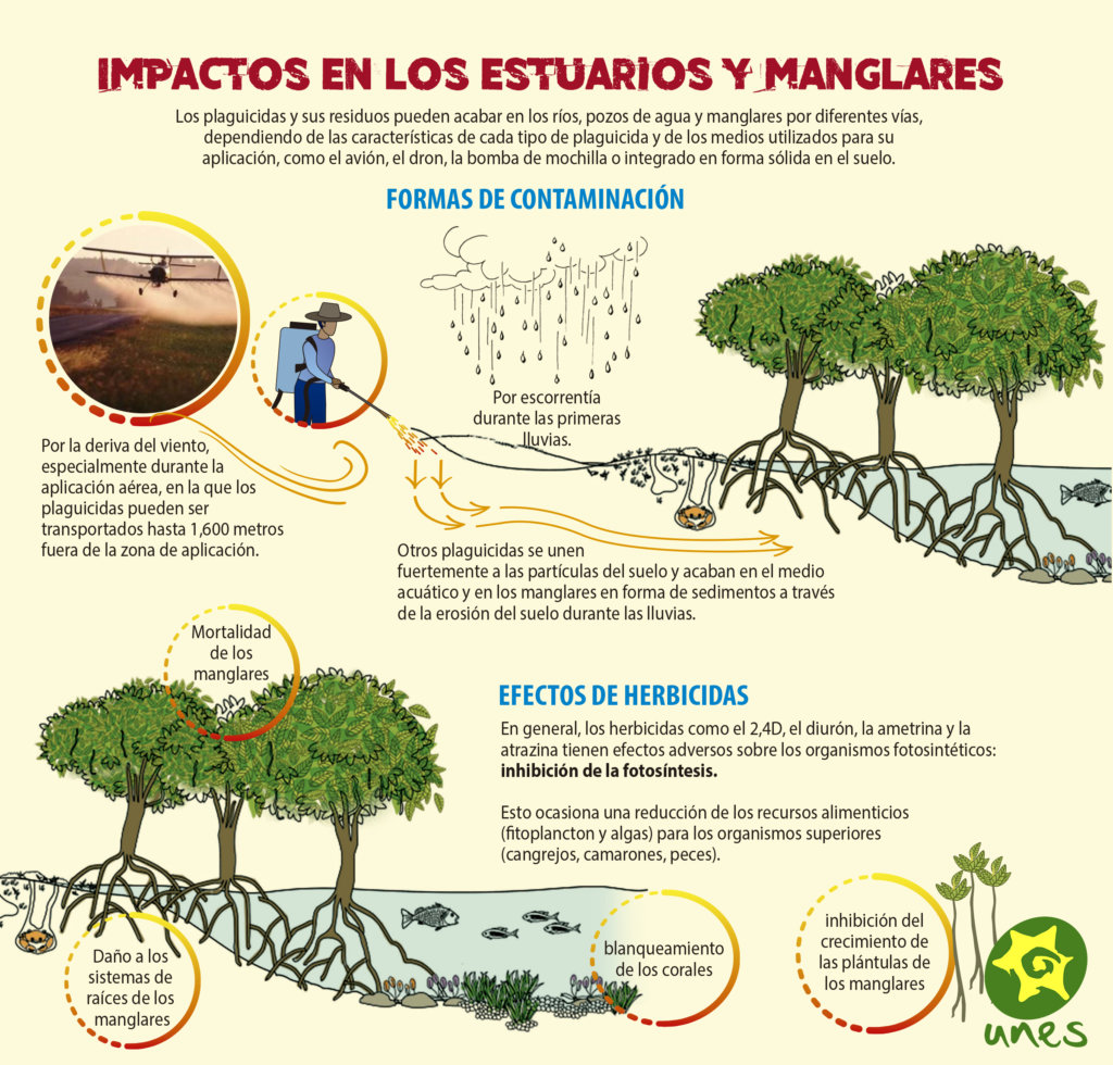 Cuál es el impacto de los insecticidas en las plantas