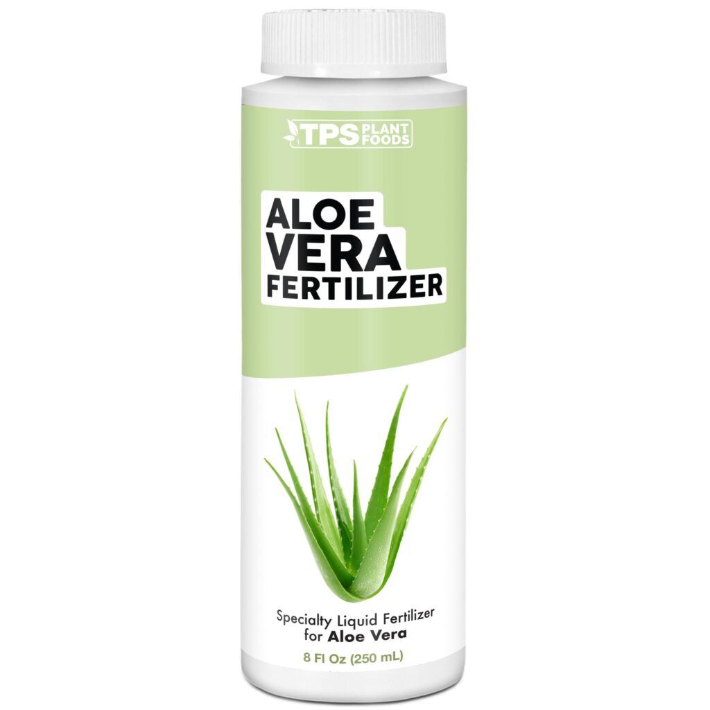 Cuál es el mejor fertilizante para aloe vera
