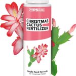 Cuál es el mejor fertilizante para cactus de Navidad