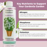 Cuál es el mejor fertilizante para gardenias de interior
