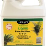 Cuál es el mejor fertilizante para palmas de interior