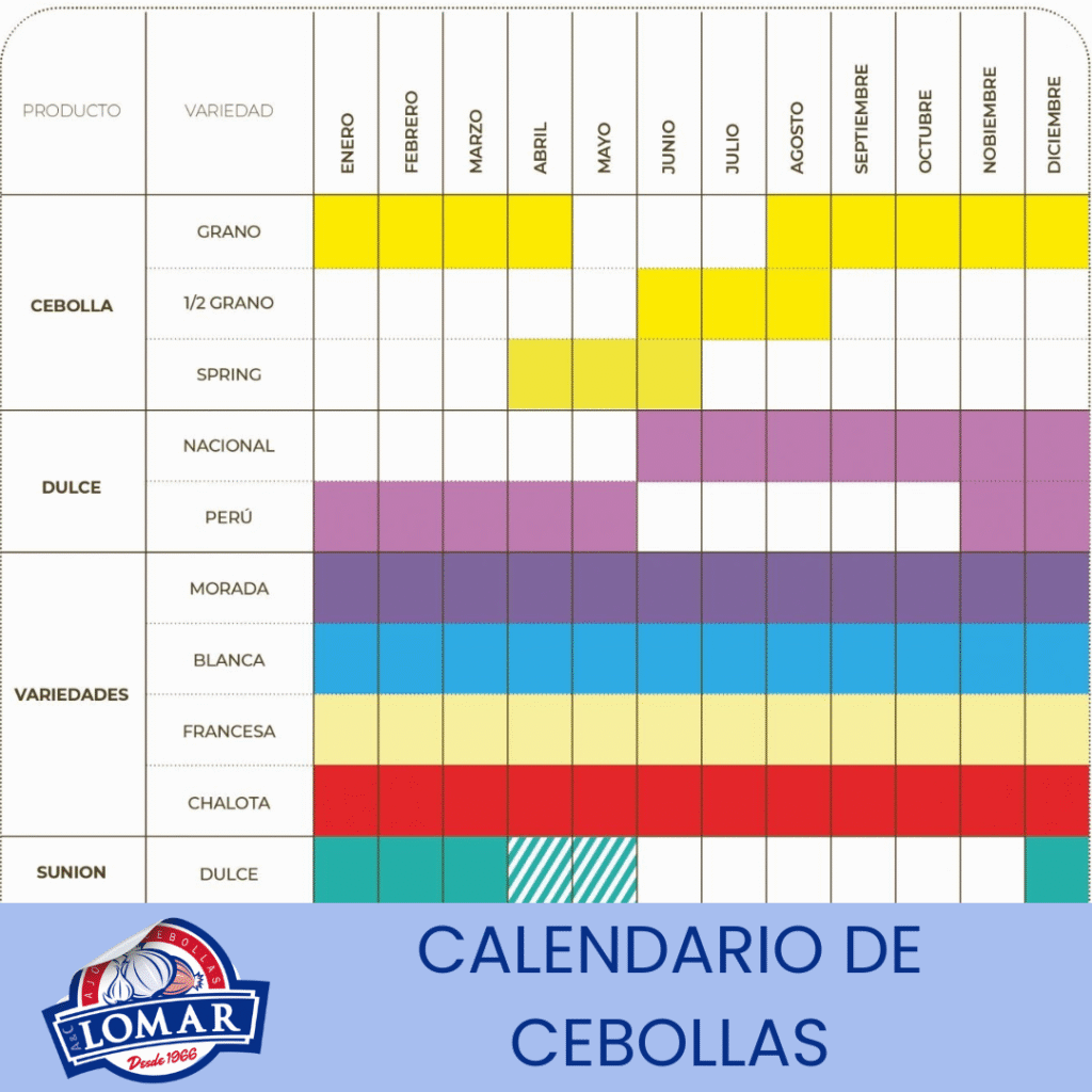 Cuál es el mejor momento para plantar cebollas en la Zona 9b